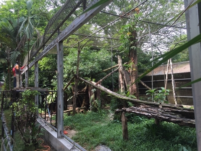Taiping Zoo