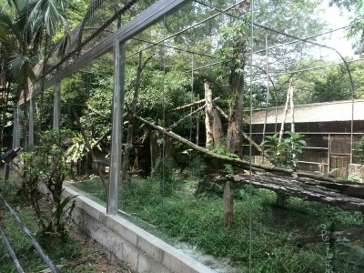 Taiping Zoo