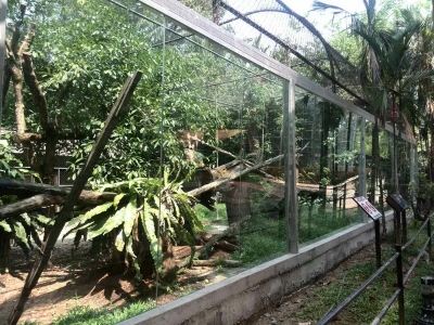 Taiping Zoo